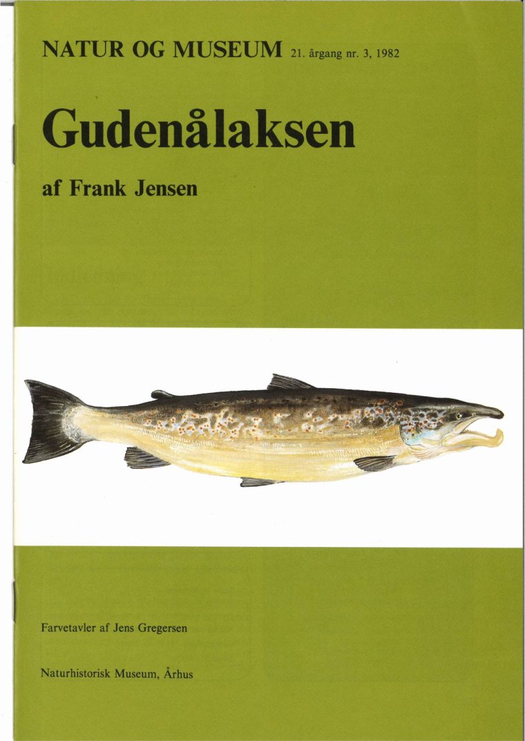 Gudenålaksen